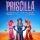 Priscilla Queen Of The Desert tour